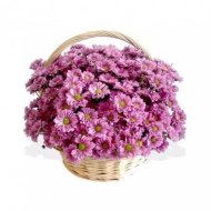 Корзина цветов «Неженка»